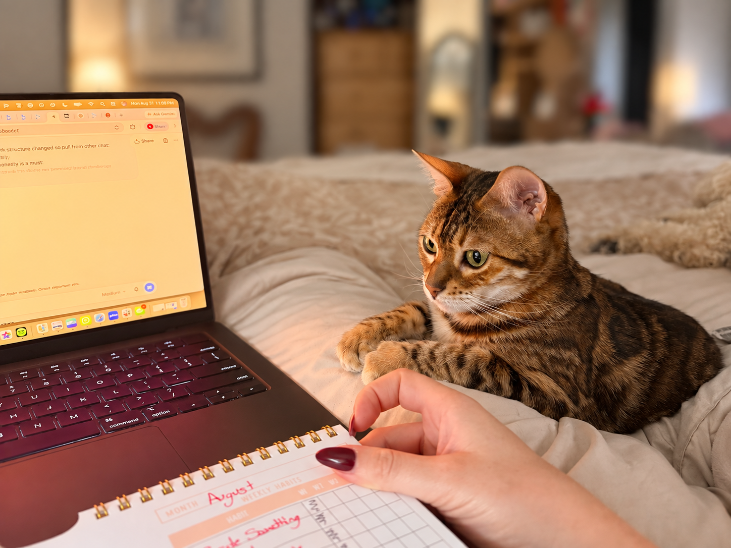 Shelby planning beside her cat, laptop, and weekly planner